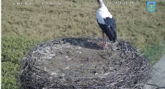 IMG_2800.jpeg