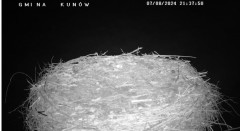 IMG_2978.jpeg