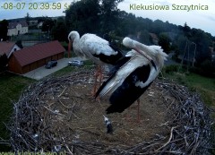 IMG_2903.jpeg