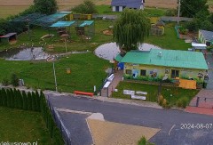 IMG_2887.jpeg