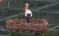 IMG_2871.jpeg