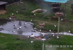 IMG_2867.jpeg
