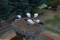 IMG_2940.jpeg