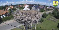 IMG_2701.jpeg