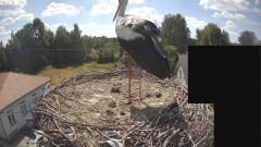 IMG_2588.jpeg