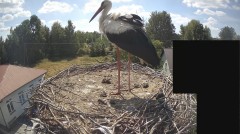 IMG_2590.jpeg