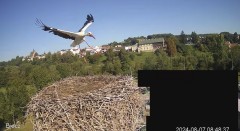 IMG_2648.jpeg