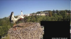 IMG_2653.jpeg