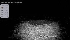 IMG_2981.jpeg