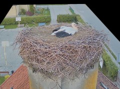 IMG_2882.jpeg