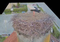 IMG_2894.jpeg