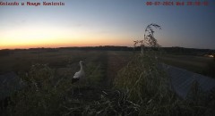 IMG_2976.jpeg