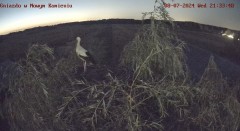IMG_2967.jpeg