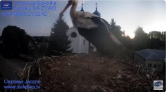 IMG_1941.jpeg