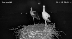 IMG_3011.jpeg