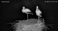IMG_3012.jpeg