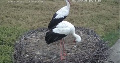 IMG_3356.jpeg