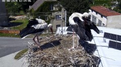 IMG_3252.jpeg
