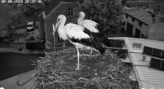 IMG_3400.jpeg