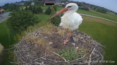 IMG_3397.jpeg