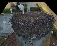 IMG_3412.jpeg