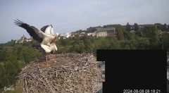 IMG_3050.jpeg