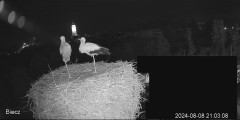IMG_3414.jpeg
