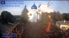 IMG_3061.jpeg