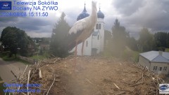 IMG_3419.jpeg
