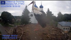 IMG_3423.jpeg