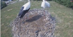 IMG_3257.jpeg
