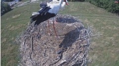 IMG_3284.jpeg