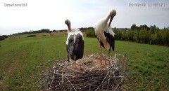 IMG_3045.jpeg