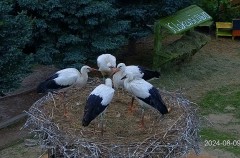 IMG_3763.jpeg