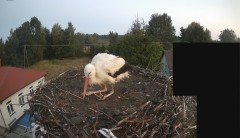 IMG_3736.jpeg