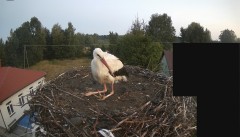 IMG_3737.jpeg