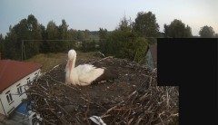 IMG_3738.jpeg