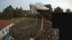 IMG_3752.jpeg