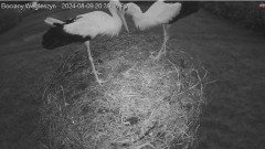 IMG_3775.jpeg