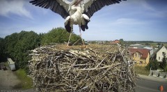 IMG_3584.jpeg