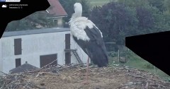 IMG_3750.jpeg