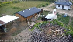 IMG_3733.jpeg