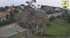 IMG_3691.jpeg
