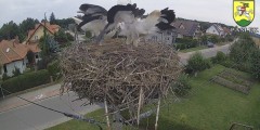 IMG_3704.jpeg