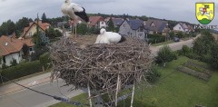 IMG_3744.jpeg