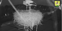 IMG_3792.jpeg