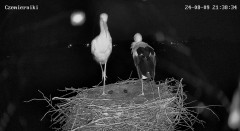 IMG_3829.jpeg