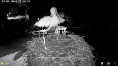 IMG_3823.jpeg