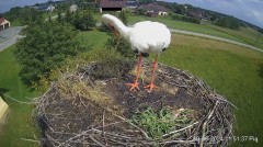 IMG_3567.jpeg