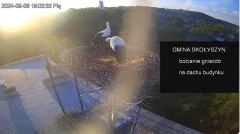 2024-08-09 19_03_49-Window.png